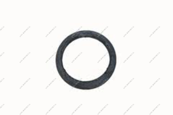 Прокладка катализатора RENAULT Logan RENAULT RENAULT 6001547473