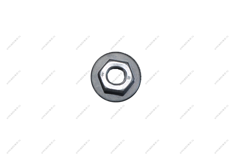 Гайка RENAULT Duster двери/Рено Дастер Renault RENAULT 7703034259