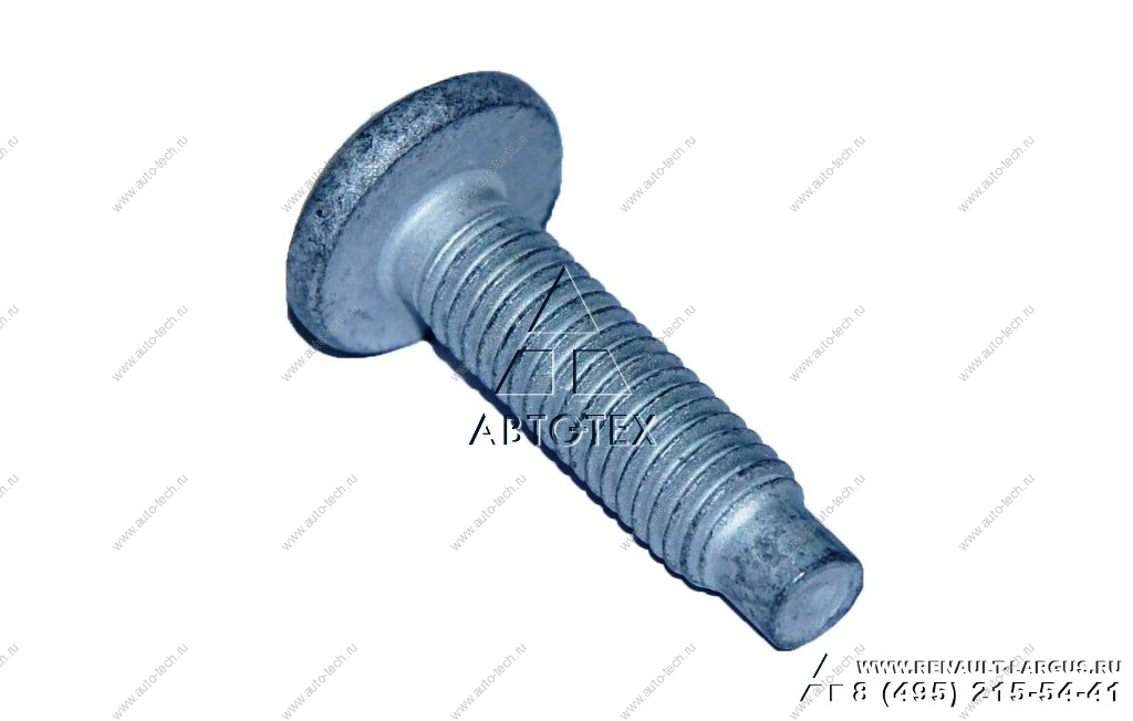 Болт RENAULT Duster /Рено Дастер петли двери Renault RENAULT 7703002919