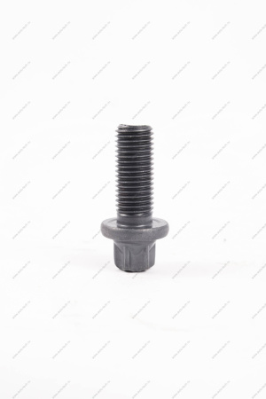 Болт крепления тормоза заднего Lada Vesta /SW/ SW Cross ( БелЗАН) Lada LADA 210802904194008 Болт крепления тормоза заднего Lada Vesta /SW/ SW Cross ( БелЗАН) Lada LADA 210802904194008