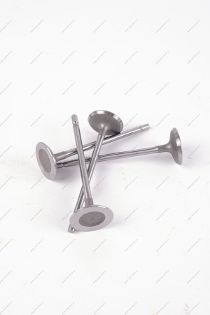 Клапан впускной 16кл. LADA Largus 1 шт AVTOSTANDART AVTOSTANDART 770147137888