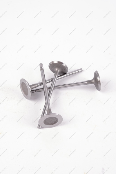 Клапан впускной 16кл. LADA Largus 1 шт AVTOSTANDART AVTOSTANDART 770147137888