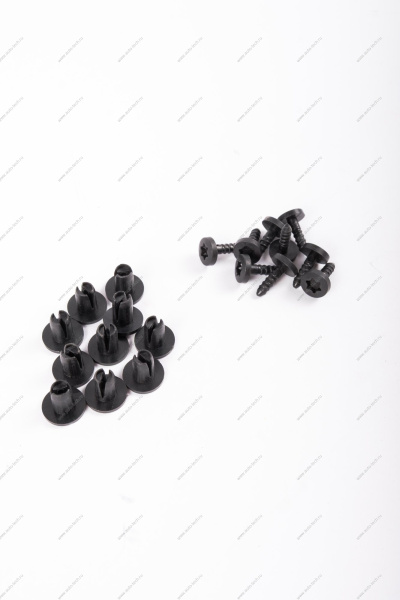 Заклепка RENAULT Logan/Рено Логан/ XRAY (пистон крепления молдинга) К-Т 10 шт 30884 ASAM-SA ASAM-SA 30884