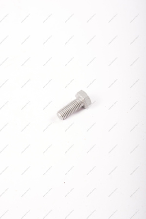 Болт M8х125х20 с шестигранной головкой LADA Largus Renault RENAULT 7703101443