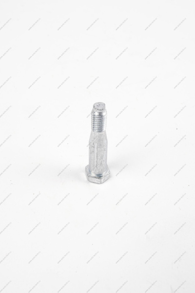 Ось ВАЗ-1118 петли двери (шестигранник) Lada LADA 11180610602030