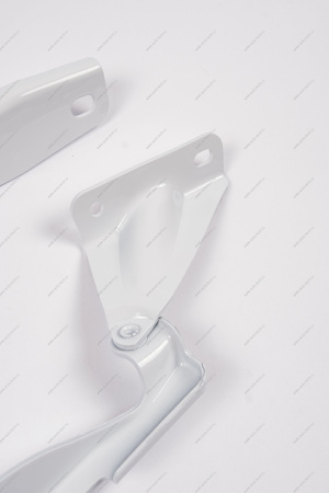 Петля капота левая +правая к-т в цвет 221 Ледниковый (белый) (FL) LADA GRANTA 2018- Lada LADA 219008407011+10-221