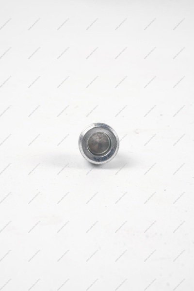 Пробка 22*1,5 сливного отверстия масляного картера LADA Vesta БелЗАН LADA 000010043244118