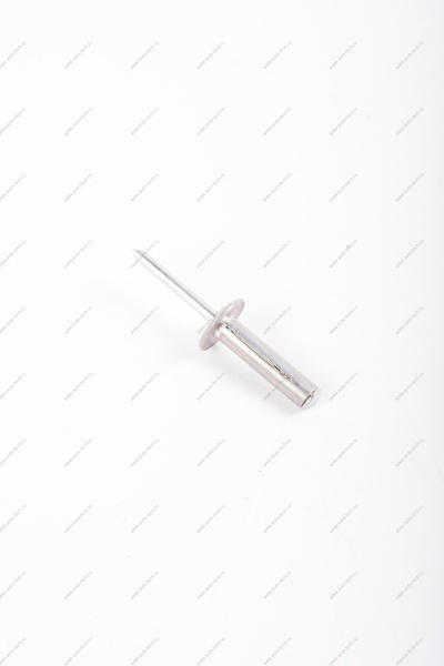 Заклепка(метал) крепления моторредуктора RENAULT Sandero/Logan Renault RENAULT 7703072362