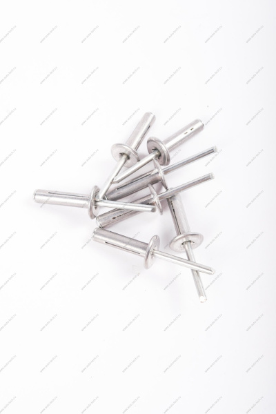 Заклепка(метал) крепления моторредуктора RENAULT Sandero/Logan Renault RENAULT 7703072362