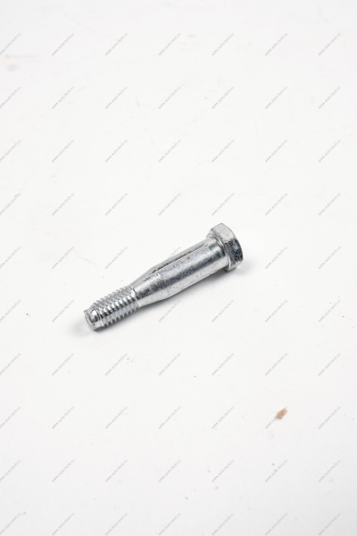 Ось ВАЗ-1118 петли двери (шестигранник) Lada LADA 11180610602020