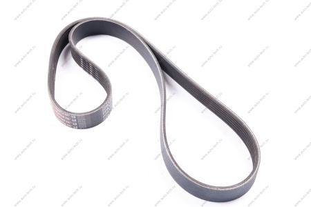 Ремень поликлиновой ВАЗ 2190 FL / FORD Fiesta V/VI/Fusion 02-/Mazda 2 (DY) 1.4/1.6 03-07 Gates Gates 6PK1019SF