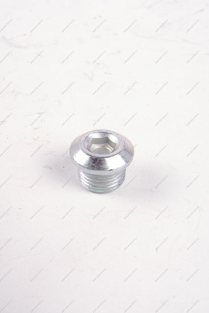 Пробкa LADA VESTA поддона картера двигателя Lada LADA 21120101106100