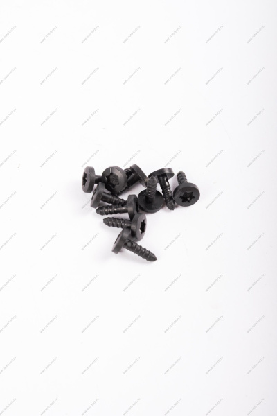 Заклепка RENAULT Logan/Рено Логан/ XRAY (пистон крепления молдинга) К-Т 10 шт 30884 ASAM-SA ASAM-SA 30884