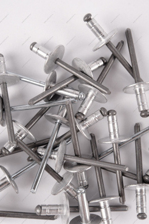 Заклепка RENAULT Logan/Рено Логан 2014- d=4,8мм Renault RENAULT 7705096011