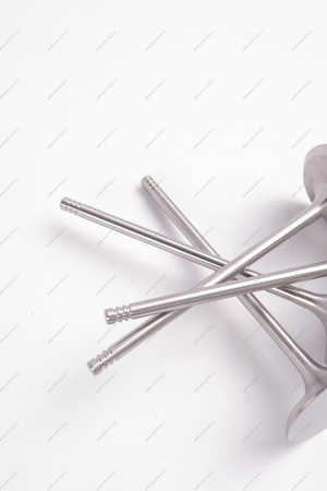 Комплект клапанов выпускных 4шт.к-т LADA Largus (FL) NEW Lada LADA 8460008784