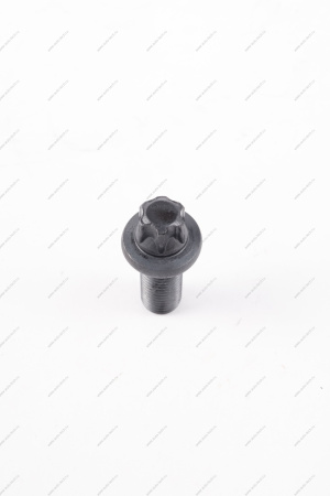 Болт крепления шаровой опоры тормоза заднего н/о (головка под звездочку) М10*1.25*23 Lada Vesta /SW/ SW Cross Lada LADA 21080290419400