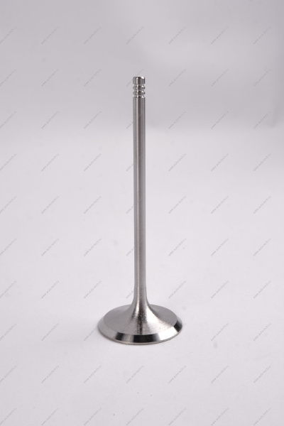 Комплект клапанов выпускных 4шт.к-т LADA Largus (FL) NEW Lada LADA 8460008784