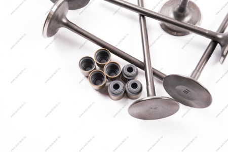 Комплект клапанов выпускных (с сухарями) в сбореLADA XRAY дв.H4M (114 л\с) 8шт Renault RENAULT 132028257R