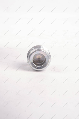 Пробка 22*1,5 сливного отверстия масляного картера LADA Vesta Lada LADA 21230170132600