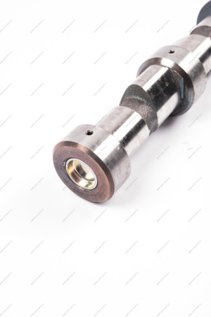 Вал ВАЗ-21213 распределительный (без корпуса) Lada LADA 21213100601000