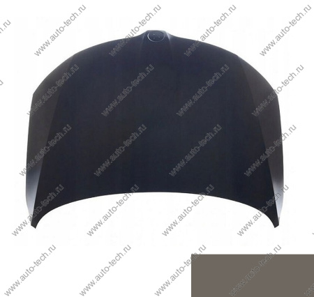 Капот крашеный SKODA RAPID 13- 0N - TITANIUM BEIGE SIMYI SIMYI 5JA823031B-0N (SIMYI)