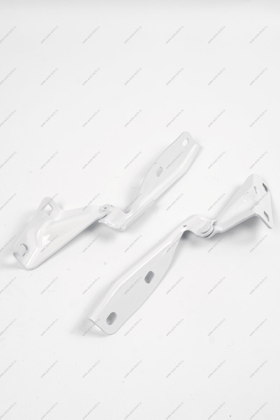 Петля капота левая +правая к-т в цвет 240 Белое облако (белый) (FL) LADA GRANTA 2018- Lada LADA 219008407011+10-240