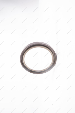 Кольцо Lada Vesta/Xray/Logan 2014- магнитное ABS (маленькое) тормозного барабана Renault RENAULT 479703074R