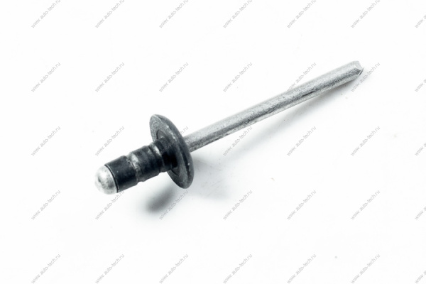 Заклепка LADA XRAY лючка бензобака 4.8-12 Renault RENAULT 7703072251