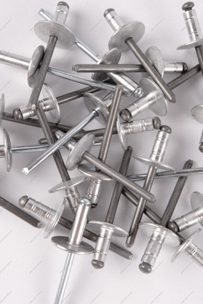 Заклепка RENAULT Logan/Рено Логан 2014- d=4,8мм Renault RENAULT 7705096011