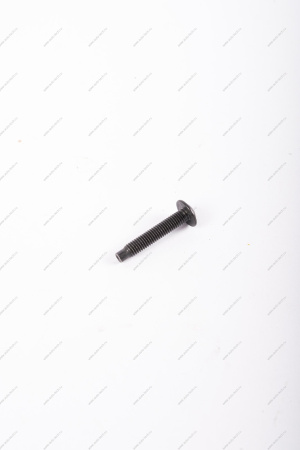 Болт LADA Largus/ Лада Ларгусбольшой саморез с круглой головкой М5 Lada LADA 7703008232