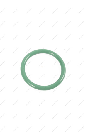 Прокладка LADA Largus корпуса дроссельной заслонки 16кл K4M(малая) ROSTECO Fra-Roi 550520FR