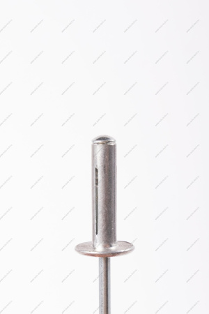 Заклепка(метал) крепления моторредуктора RENAULT Sandero/Logan Renault RENAULT 7703072362