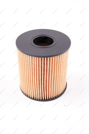 Фильтр маслянный T6 JAC JAC 1010208GD190