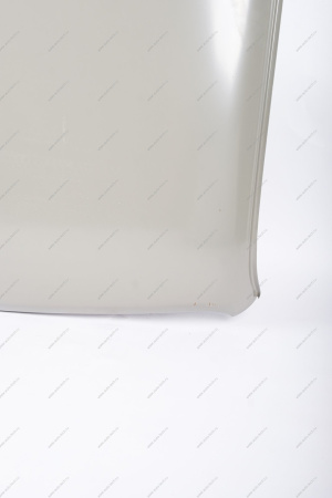 Панель крыши ВАЗ-2121-21214/LADA URBAN (катафорезный грунт) Lada LADA 21210570101210