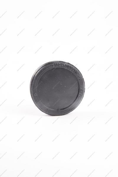 Заглушка ГБЦ (распредвала) ВАЗ-2112 /2170 двигат 16 кл.(БРТ) Lada LADA 21120100329001