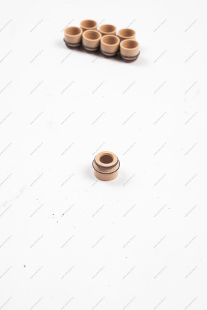 Колпачок ВАЗ-2108 маслоотражательный клапана с пружиной (КОМПЛЕКТ 8шт.в упаковке) Lada LADA 21080100702686