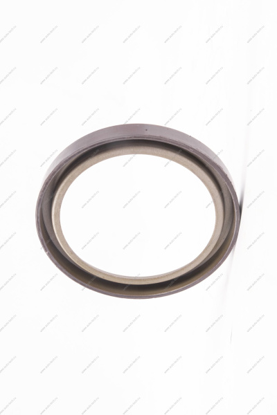 Кольцо Lada Vesta/Xray/Logan 2014- магнитное ABS (маленькое) тормозного барабана Renault RENAULT 479703074R