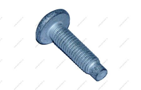 Болт RENAULT Duster /Рено Дастер петли двери Renault RENAULT 7703008207