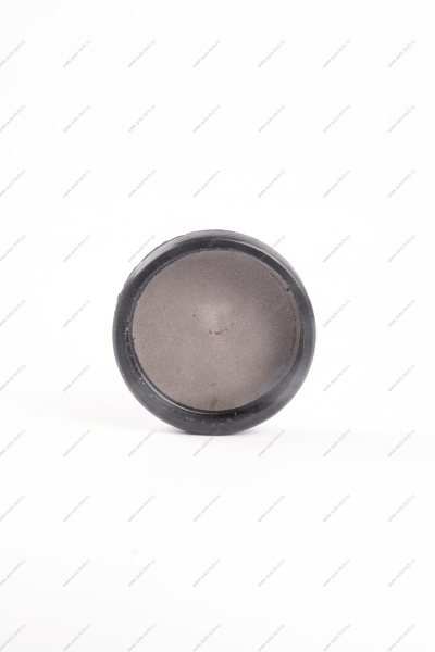 Заглушка ГБЦ (распредвала) ВАЗ-2112 /2170 двигат 16 кл.(БРТ) Lada LADA 21120100329001