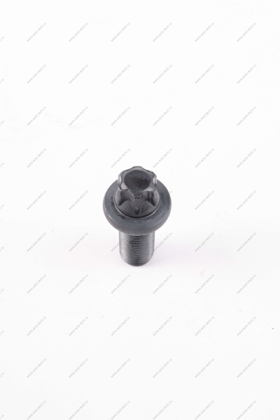 Болт крепления тормоза заднего Lada Vesta /SW/ SW Cross Lada LADA 21080290419400 Болт крепления тормоза заднего Lada Vesta /SW/ SW Cross Lada LADA 21080290419400