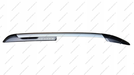 Рейлинг правый (СЕРЕБРИСТАЯ) RENAULT Duster II Renault RENAULT 738207297R