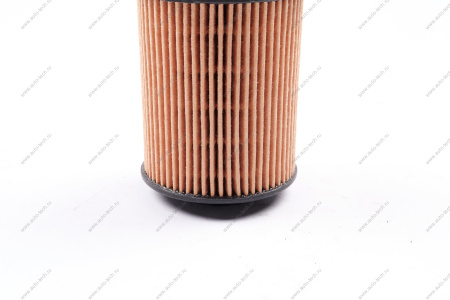 Фильтр масляный TUGELLA / MONJARO GEELY Geely 1056025900