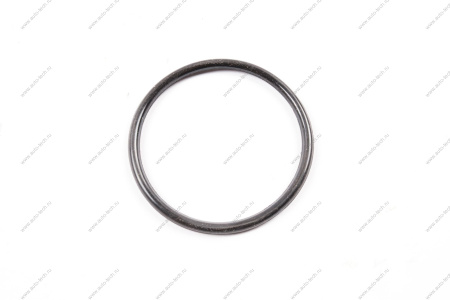 Прокладка дроссельной заслонки LADA Largus 16кл Renault RENAULT 8200068583RG8200068583/66