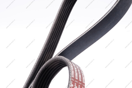 Ремень поликлиновой ВАЗ 2190 FL / FORD Fiesta V/VI/Fusion 02-/Mazda 2 (DY) 1.4/1.6 03-07 Gates Gates 6PK1019SF