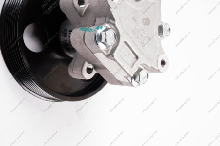 Насос гидроусилителя LADA Largus/Лада Ларгус 1.6V с шкивом 16/8кл (Рулевые системы) Renault RENAULT 491108694R