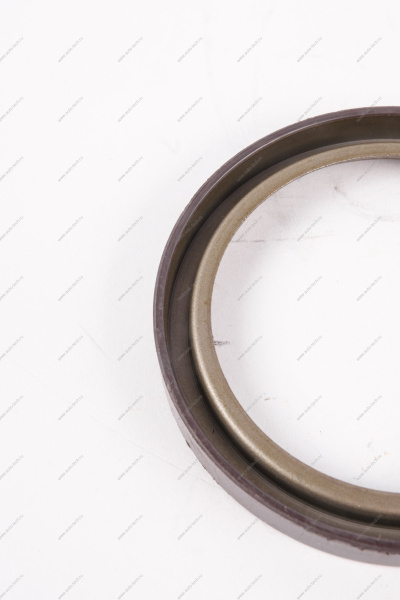 Кольцо Lada Vesta/Xray/Logan 2014- магнитное ABS (маленькое) тормозного барабана Renault RENAULT 479703074R