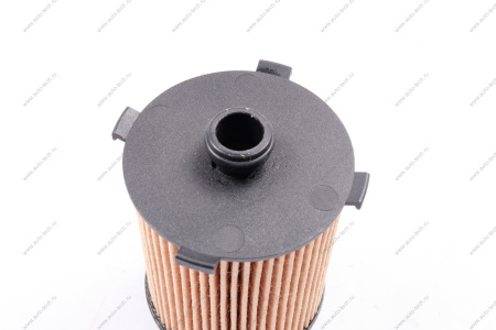 Фильтр масляный TUGELLA / MONJARO GEELY Geely 1056025900