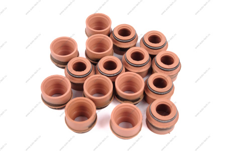 Комплект маслоотражательных колпачков к-т 16шт ВАЗ-2112 Lada LADA 21120100702686 Комплект маслоотражательных колпачков к-т 16шт ВАЗ-2112 Lada LADA 21120100702686