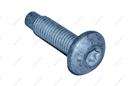 Болт RENAULT Duster /Рено Дастер петли двери Renault RENAULT 7703008207