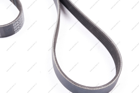 Ремень поликлиновой ВАЗ 2190 FL / FORD Fiesta V/VI/Fusion 02-/Mazda 2 (DY) 1.4/1.6 03-07 Gates Gates 6PK1019SF